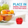 Fruit Fly Traps for Indoors by Raid | 2 Lures