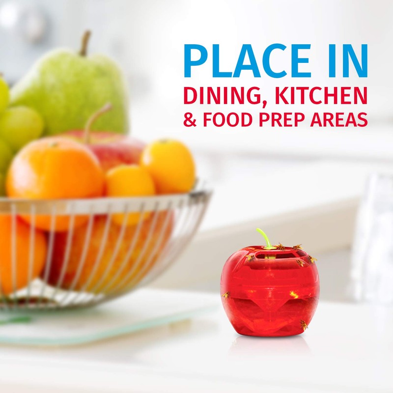 Fruit Fly Traps for Indoors by Raid | 2 Lures