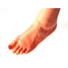 Foot Model Female Left Foot 8.3 inches (21 cm) Life