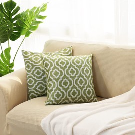 Decor Ur Space Trellis Pattern Jacquard Pillow Cover Set of 2 (Green)