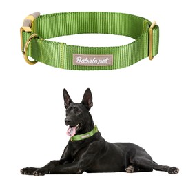 Babole Pet Nylon Dog Collar - Adjustable Green Soft Webbing Dog Collars for Small Medium Large Dogs Boy Girl Puppy Collar with Safety Metal Buckle XS