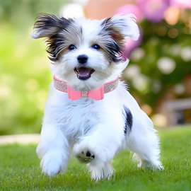Small Dog Collar and Leash Set with Rhinestone Bow Knot Crystal Diamond Bling Girl Puppy Cat Collars Black XS