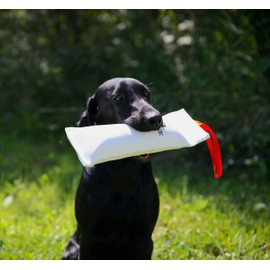 DogBone Firehose Training Dummy to Train Your Dog to Track & Retrieve