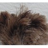 AAYU Feather Duster (36cm) 14.5 inch for Home Cleaning |