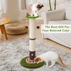 Woochpet 34inches Tall Cat Scratching Post with Cat Ball Track