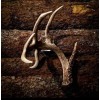 Acrylic Invisible Shed Antler Wall Mount Display