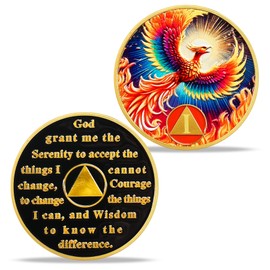 1 Year Phoenix Sobriety Coin, AA Recovery Chip with Serenity Prayer, Alcoholics Anonymous Anniversary Token, NA Medallion Gift for Sober Men & Women with Protective Case
