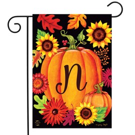 Briarwood Lane Fall Pumpkin Monogram Letter N Garden Flag 12.5" x 18"