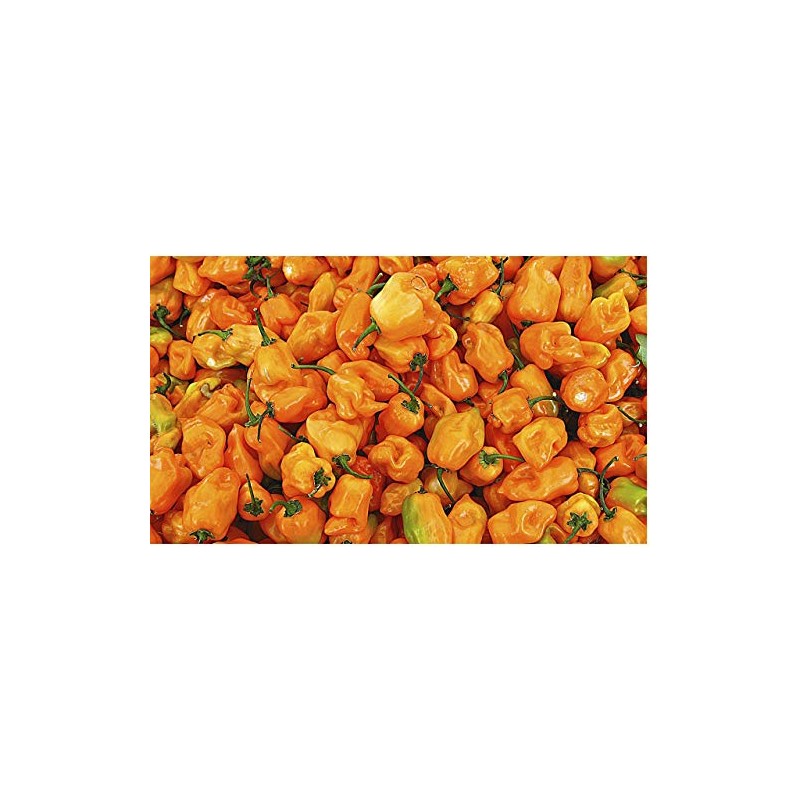 iik Aderezo de Chile Habanero Artesanal