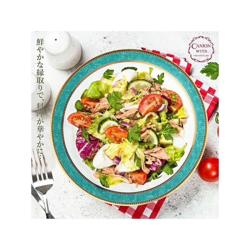 CANION WITS VESUVIO Dinner Plate, Western Dinnerware Design (Gift/Household/Cafe/Restaurant, Etc)