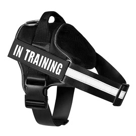 FDEETY Dog Harness for Dogs, Escape Proof, Adjustable Chest Strap with Front Buckle, Reflective Night Safety Harness, Dog Accessories for Small, Medium, Large (M)