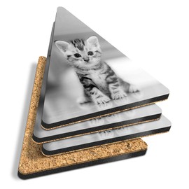 4 x Triangle Coasters - BW - Grey Tabby Bengal Pet Kitten Animals Cork Backed MDF Glossy Tea Coffee Accessory #41115