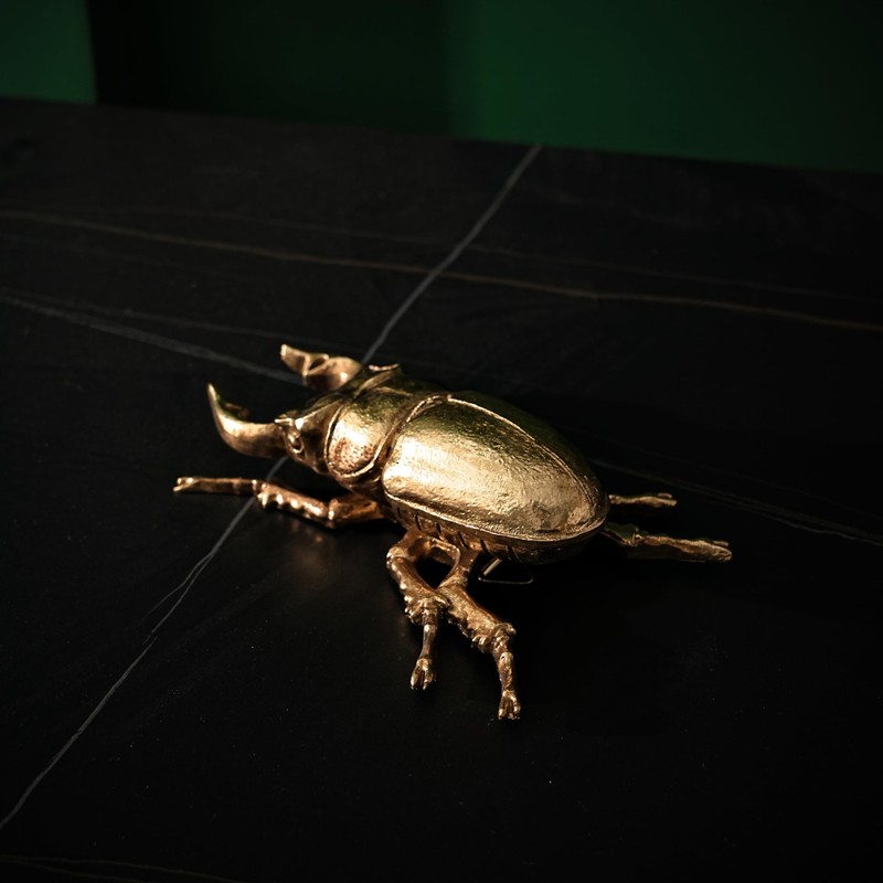 Xinleitan Gold Insect Wall Decor - Unique Bug and Beetle