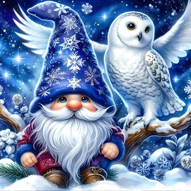 QINRUBB DIY Gnome Diamond Painting Adults, 5D Snow Owl Diamond Painting Pictures Beginners, Round Owl Full Drill Diamond Painting Embroidery Cross Stitch Gifts Home Wall Decor 30 x 30 cm