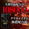 クラチャイダム600 大容量90日分/180粒（1粒に600mgの生クラチャイダムを濃縮）