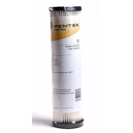 Pentair Pentek S1 Sediment Filter (2-Pack) RO System Filter 9 3/4 20 Micron