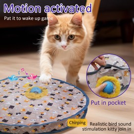 Giociv Interactive Cat Toys Ball Fast Rolling in Pouch, Motion Activate Chirping Cat Toy Hide and Seek Mouse Catching Game (Blue)