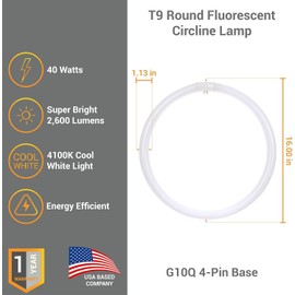 Diodesy- Pack of 2 FC16T9/CW T9 Circline Ceiling Fluorescent Light Bulb, Round Tube Lamp, Long Circular Replacement, 40W, 4100K Cool White, 2600 Lumens, G10Q 4-Pin Base, RoHS Compliant