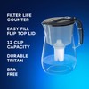 AQUAPHOR Opal 12 Cup Premium Water Filter Pitcher Black, includes