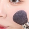 PICCASSO 108 Blusher Brush, Premium Wool Design, Anti-Flap, Natural, Uniform