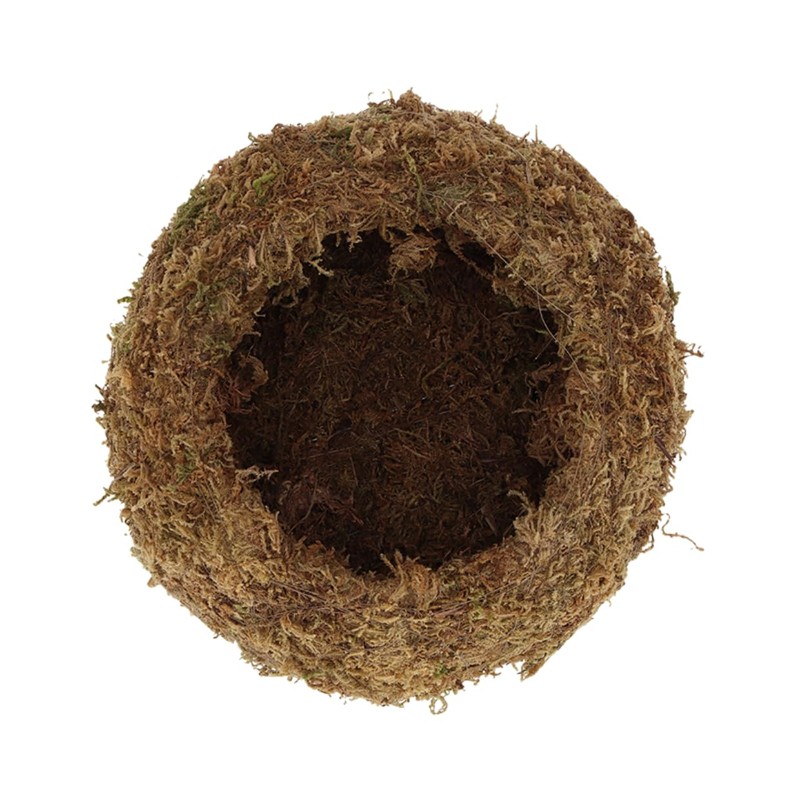 Esschert Kokedama Moss Ball L Diameter 19.8 cm