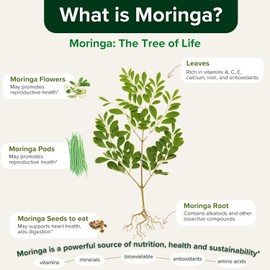 Moringa Oleifera Leaf Powder Capsules - Superfood Supplement, Energy and Mood Booster, Skin Health, Gut Health, Immune System Support - 1-Month Supply (3)