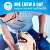 DentaLife Plus Digestive Support Dog Treats for Small and Medium