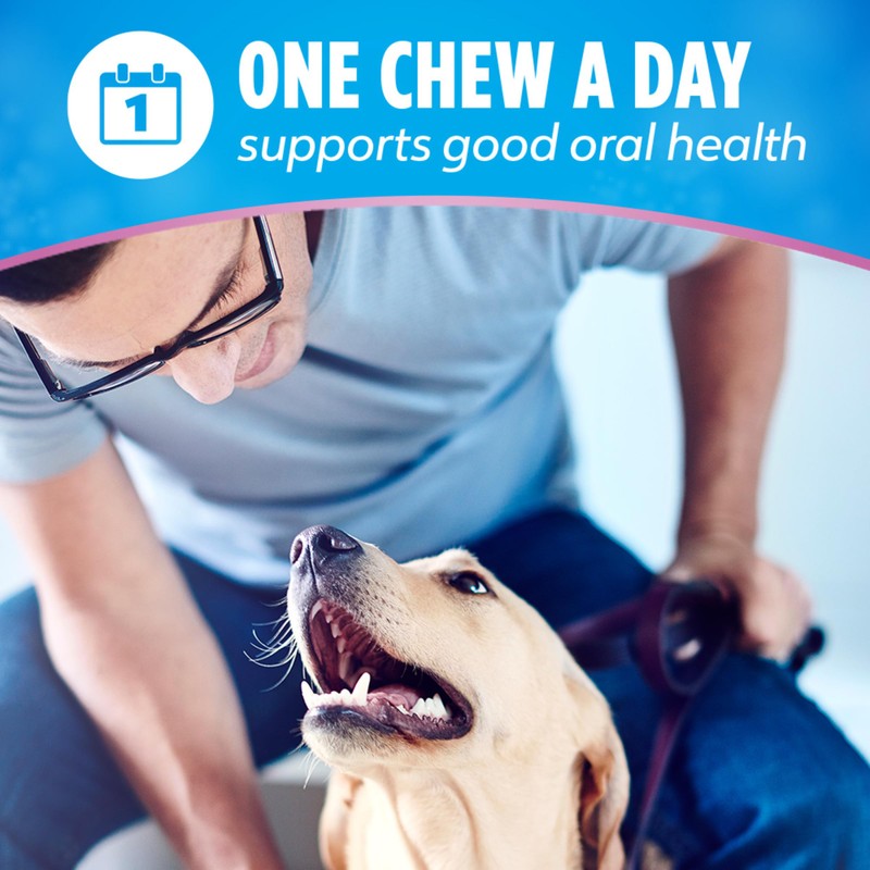 DentaLife Plus Digestive Support Dog Treats for Small and Medium