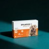 Suplemento Perros Epilepxis 10, 30 Tabletas