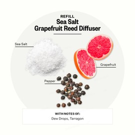 Apotheke Luxury Scented Oil Reed Diffuser Liquid Refill (Sea Salt Grapefruit) - Premium Home Fragrance Diffuser Refill Set with Sticks