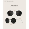 WearMe Pro - Reflective Lens Round Trendy Sunglasses