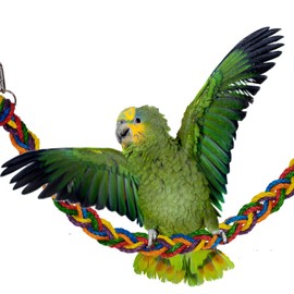 Super Bird Creations SB1156 Rainbow Rope Bridge Bird Toy for Parrots, Ringnecks, Conures, Quakers, Caiques, Senegals, African Greys - Multi-Colored Heavy-Duty Rope - Medium/Large Bird Size, 35 x 2