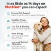 All-Natural 3-in-1 Dog Probiotic, Prebiotic, and Postbiotic Supplement Powder -