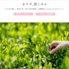 TOKACHA Japanese Tea Supplement Sugar Tea Green Tea Bag 0.2
