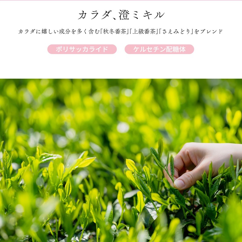 TOKACHA Japanese Tea Supplement Sugar Tea Green Tea Bag 0.2