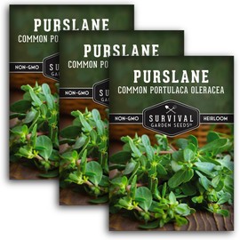 Purslane Seeds for Planting - Edible Green Portulaca Oleracea Verdolagas Heirloom Non-GMO Vegetable Seed for Home Garden - Survival Garden Seeds (3 Packs)