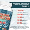 Liposomal Quercetin Phytosome, Quercetin with Bromelain, Zinc & Vitamin C,
