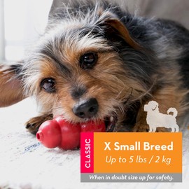 KONG Classic Stuffable Dog Toy Easy Treat Peanut Butter Spray - Fetch & Chew Toy for Dogs - with Dog Toy Filler Treat - for Hours of Fun & Enrichment - 14 oz - XS