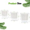 Etvski Self Watering Pots for Indoor Plants, 6 & 5