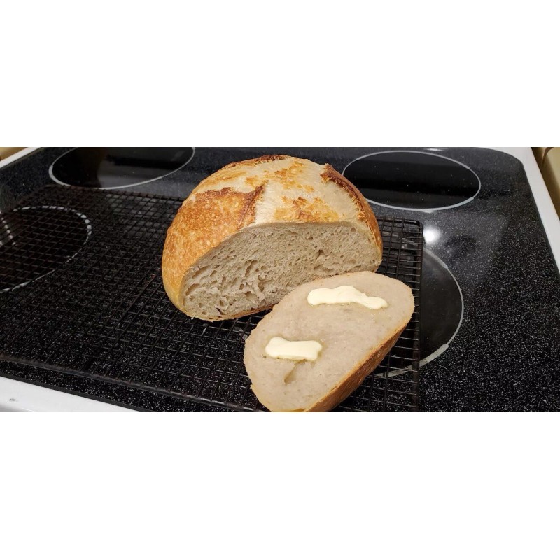 Heritage Sourdough Dehydrated SOURDOUGH STARTER Strong 100+ Yrs Old SAN