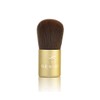 NUTRATANICALS Antioxidant Foundation Natural, 8 gm & Small Kabuki Brush