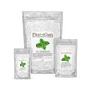 Menthol Crystals 8 oz. Mentha Arvensis 100% Pure Natural USP