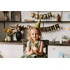 Green Direct Cupcake Liners - Standard Size Cupcake Wrappers to