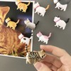 SYLHD Refrigerator Magnet, Mini, Cute, Stylish, Super Strong Magnets, Cat