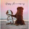 Noel Tatt Anniversary Card - Two Dogs Watching the Sunset