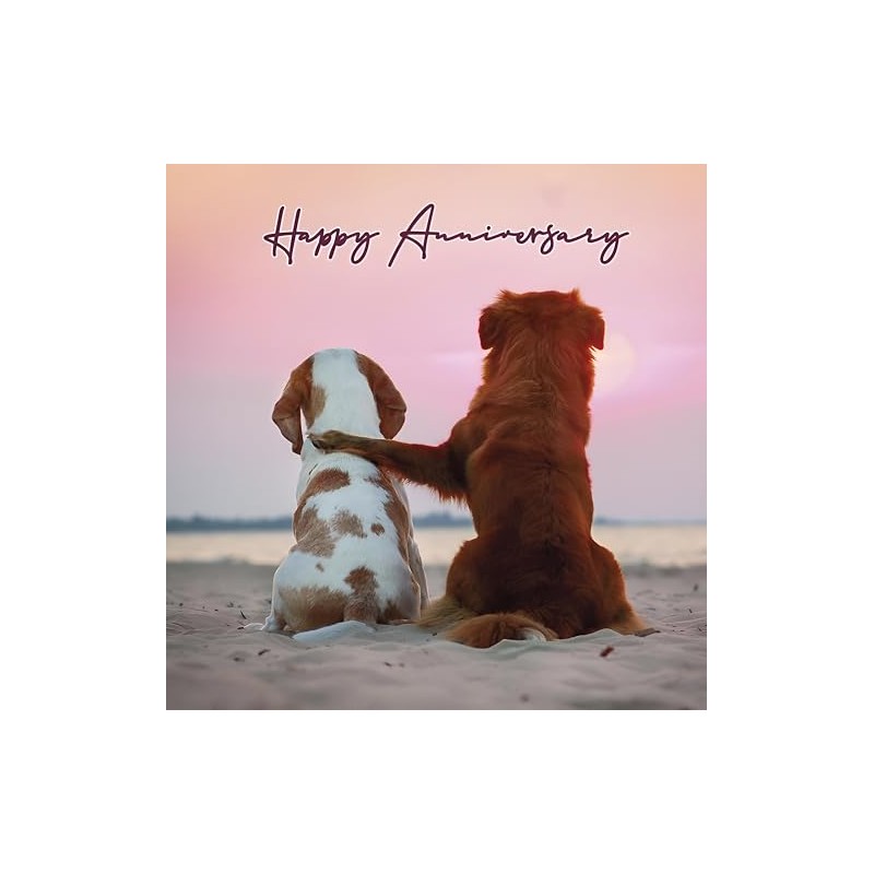 Noel Tatt Anniversary Card - Two Dogs Watching the Sunset