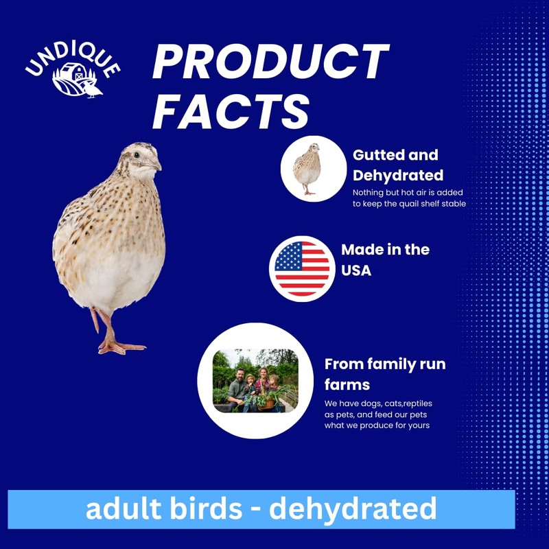 Quail Whole Pray dehydrated for Bird Dog Training or Falconry