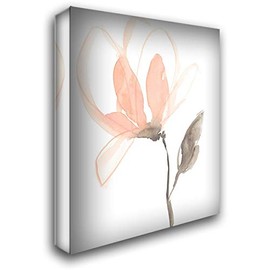 ArtDirect Goldberger, Jennifer 20x24 Gallery Wrapped Canvas Museum Art Titled: Blush Petals I