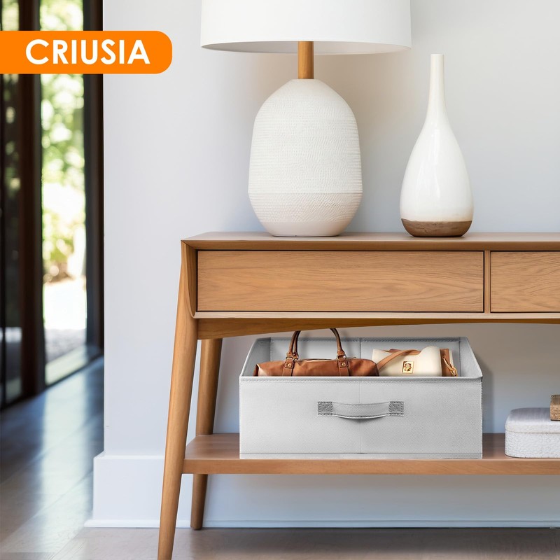 Criusia Closet Organizers Bins 6 Pack - Large Closet Shelf