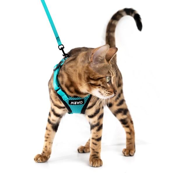 Mewo Cat Harness and Leash - Escape Proof, Soft, Comfortable, Reflective & Adjustable for a Safe & Snug Fit (Aqua Marine, Medium)